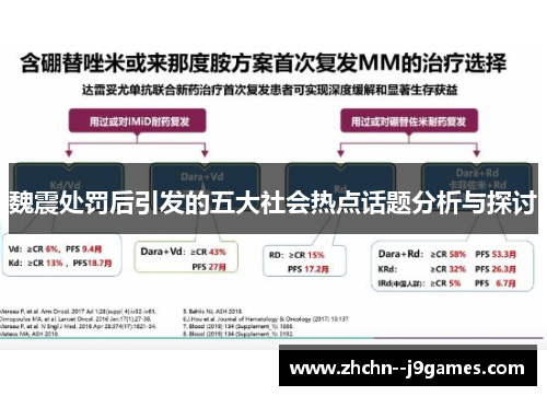 魏震处罚后引发的五大社会热点话题分析与探讨