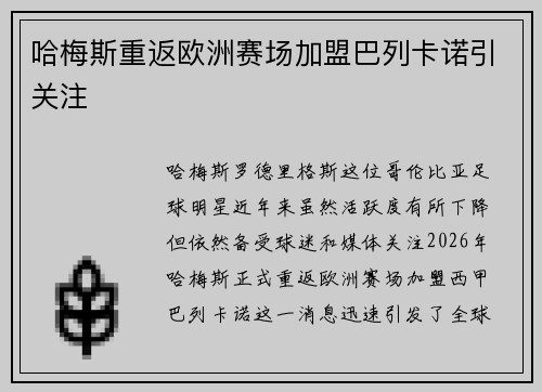 哈梅斯重返欧洲赛场加盟巴列卡诺引关注 哈梅斯重返欧洲赛场加盟巴列卡诺引关注