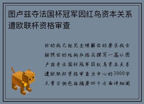 图卢兹夺法国杯冠军因红鸟资本关系遭欧联杯资格审查 图卢兹夺法国杯冠军因红鸟资本关系遭欧联杯资格审查